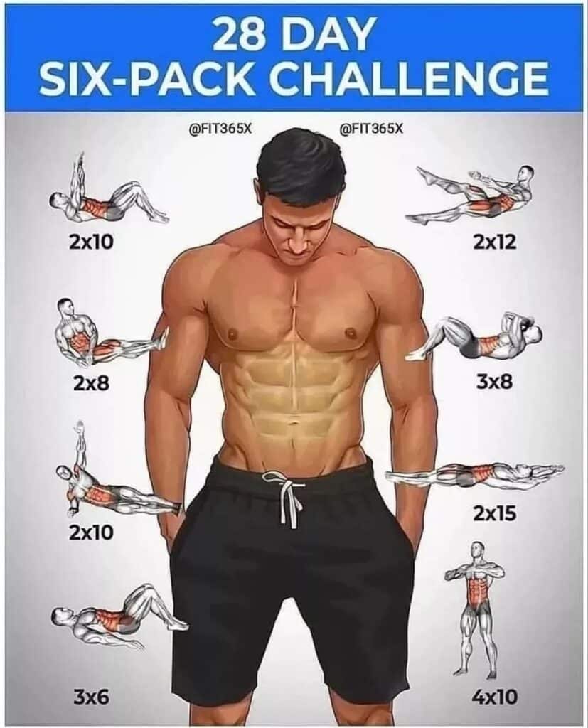 6 Pack Abs Muscle