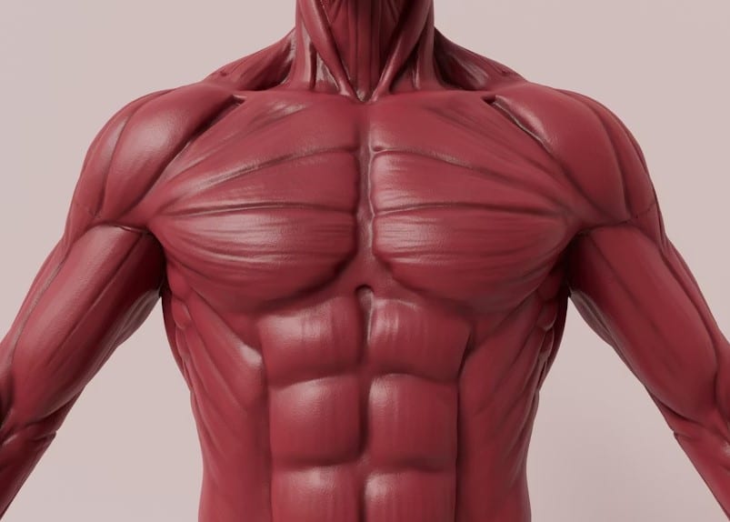 Science-Based Six-Pack Abs Routine